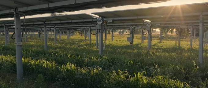 Agrivoltaic installation at Jack's Garden in Longmont, Colorado.