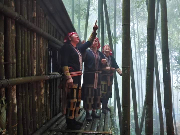 Khu rừng vầu 300 năm tuổi của người Dao đỏ thôn Sải Duần, xã Phìn Ngan (huyện Bát Xát, Lào Cai). Ảnh: HĐ.