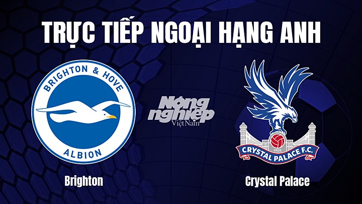 Trực tiếp bóng đá Ngoại hạng Anh giữa Brighton vs Crystal Palace hôm nay 16/3/2023