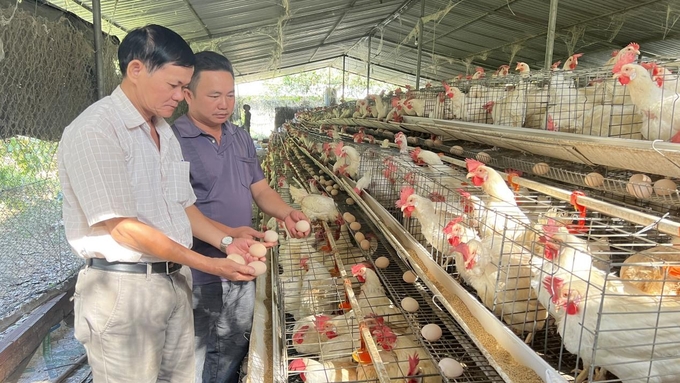 Hội nông dân xã Thanh An tham quan mô hình nuôi gà đẻ trứng hồng của gia đình anh Vinh. Ảnh: Minh Sáng.