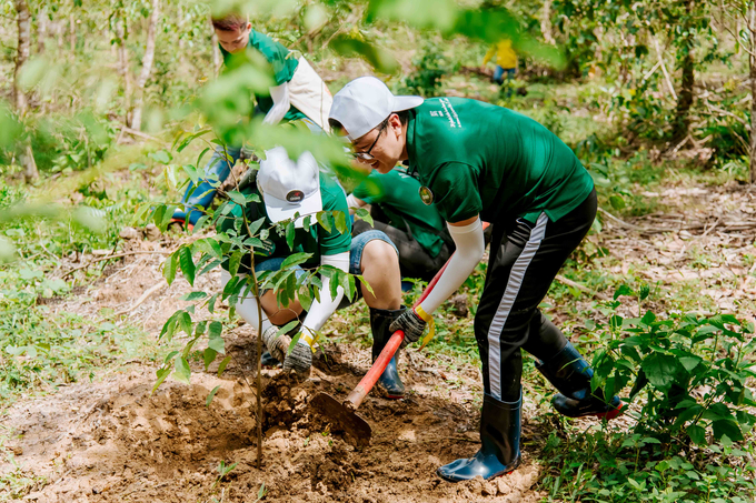 Nestlé Việt Nam đã đóng góp 1.000 cây gỗ lớn về Khu Bảo tồn Thiên nhiên Văn hóa Đồng Nai năm 2022.