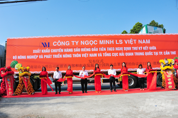 Lãnh đạo TP Cần Thơ cùng Công ty TNHH Xuất nhập khẩu Ngọc Minh Lạng Sơn tổ chức lễ xuất khẩu chuyến hàng sầu riêng đầu tiên gần 20 tấn sang thị trường Trung Quốc. Ảnh: Lê Hoàng Vũ.