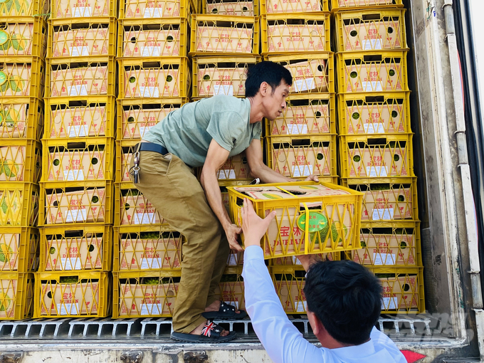 Để giữ vững và nâng cao chất lượng sản phẩm giúp doanh nghiệp mạnh dạn tự tin xuất khẩu nông sản của HTX và nông dân mở rộng liên kết xuất khẩu cho cả TP Cần Thơ. Ảnh: Lê Hoàng Vũ.