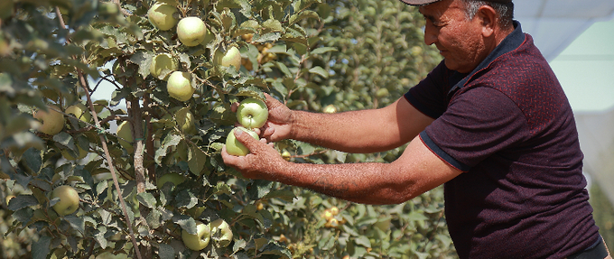 The report underlines that food and agriculture policies need to be repurposed to make them better suited to addressing the 'triple challenge' of current agrifood systems – increasing the affordability of healthy diets, ensuring better livelihoods for farmers, and improving environmental sustainability.