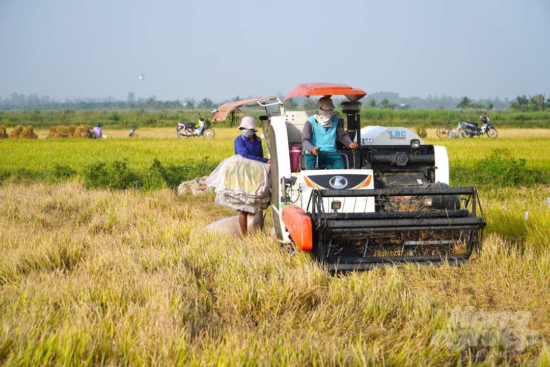 12/13 tỉnh, thành vùng ĐBSCL đã đăng ký tham gia đề án, với diện tích dự kiến đến năm 2025 là 719.000 ha và đến năm 2030 đạt 1.015.000 ha. Ảnh: Kim Anh.