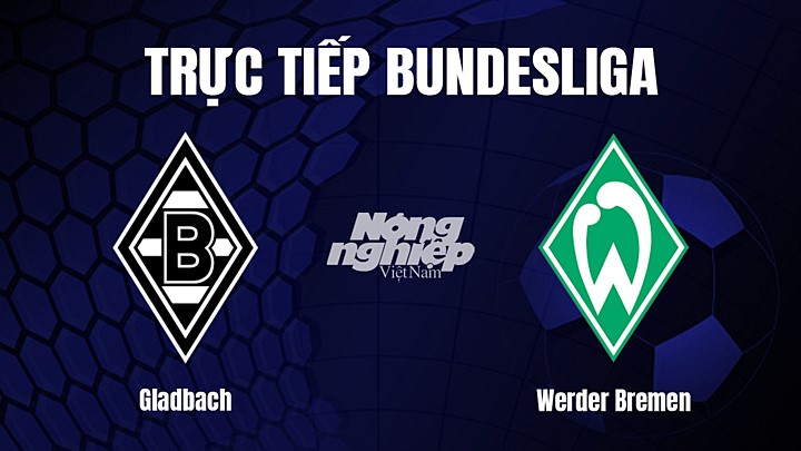 Trực tiếp bóng đá Bundesliga (VĐQG Đức) 2022/23 giữa Gladbach vs Werder Bremen hôm nay 18/3/2023