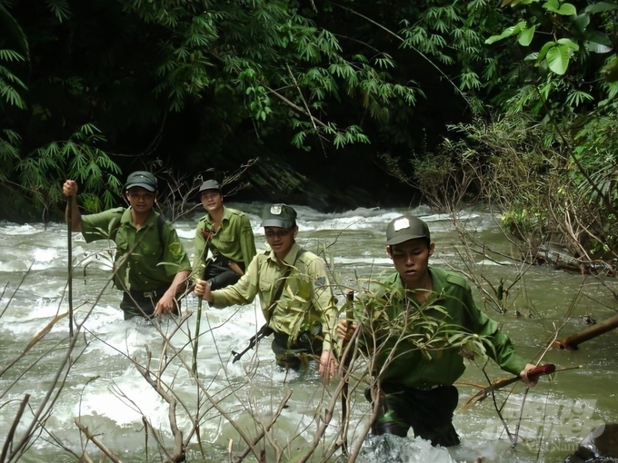 Forest rangers on patrol.