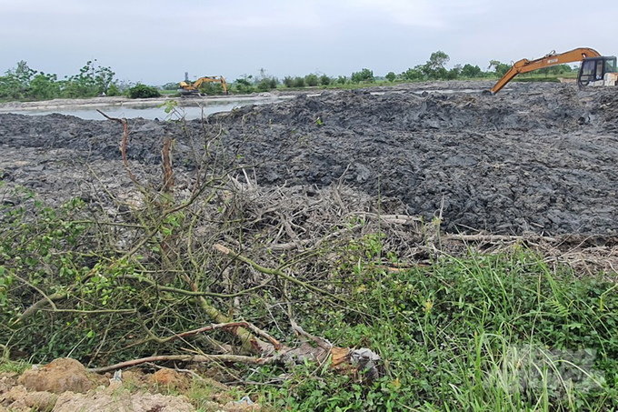 Gần 1ha rừng ngập mặn của dự án SP-RCC do Chi cục Kiểm lâm tỉnh Thừa Thiên - Huế làm chủ đầu tư đã bị san ủi trái phép trong quá trình thi công dự án thủy lợi. Ảnh: CĐ.