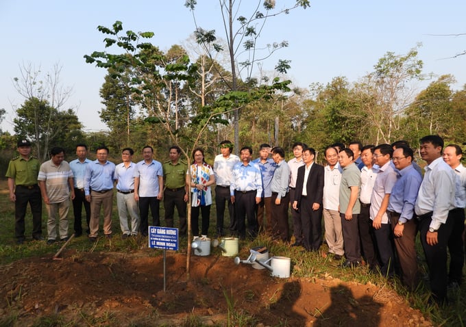 Bộ trưởng Bộ NN-PTNT Lê Minh Hoan cùng đoàn công tác trồng cây tại VQG Cát Tiên. Ảnh: Trần Trung.