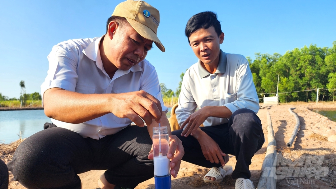 Chi cục Chăn nuôi và Thú y tỉnh Sóc Trăng kiểm tra nồng độ nước mặn trong tại ao nuôi tôm. Ảnh: Kim Anh.