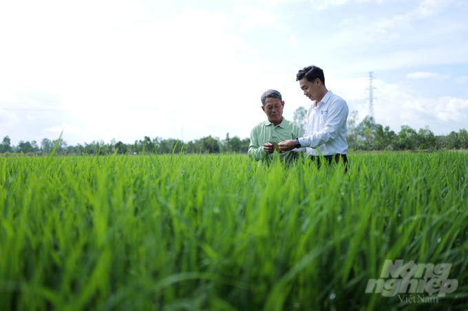Nhân viên Syngenta Việt Nam hướng dẫn nông dân canh tác trên đồng. Ảnh: Syngenta cung cấp.