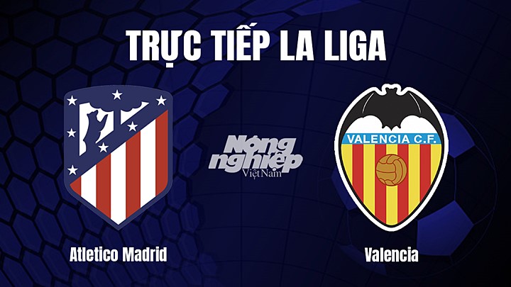 Trực tiếp bóng đá La Liga 2022/23 giữa Atletico Madrid vs Valencia hôm nay 19/3/2023