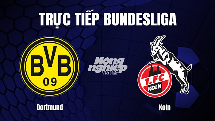 Trực tiếp bóng đá Bundesliga (VĐQG Đức) 2022/23 giữa Dortmund vs Koln hôm nay 19/3/2023