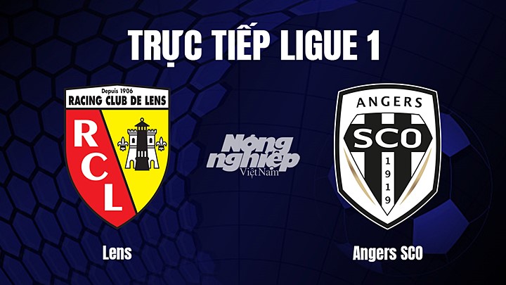 Trực tiếp bóng đá Ligue 1 (VĐQG Pháp) 2022/23 giữa Lens vs Angers SCO hôm nay 19/3/2023