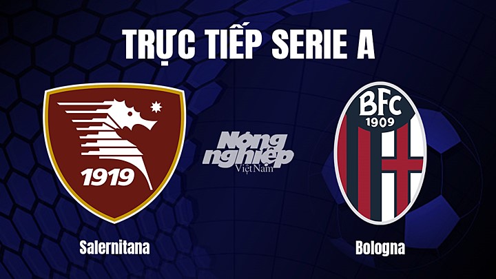 Trực tiếp bóng đá Serie A (VĐQG Italia) 2022/23 giữa Salernitana vs Bologna ngày 19/3/2023