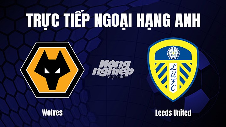 Trực tiếp bóng đá Ngoại hạng Anh giữa Wolves vs Leeds United hôm nay 18/3/2023