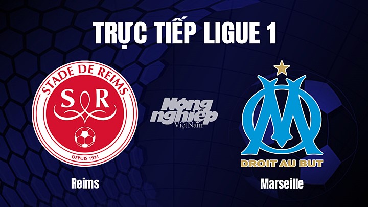 Trực tiếp bóng đá Ligue 1 (VĐQG Pháp) 2022/23 giữa Reims vs Marseille hôm nay 20/3/2023