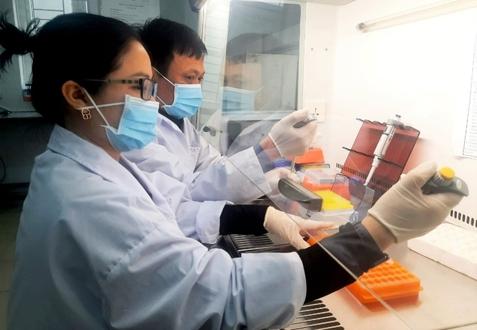 The work of detecting and combating epidemics has faced many difficulties in recent years because farmers have failed to follow the process of raising and preventing diseases recommended by specialized agencies. Photo: Thanh Nga.