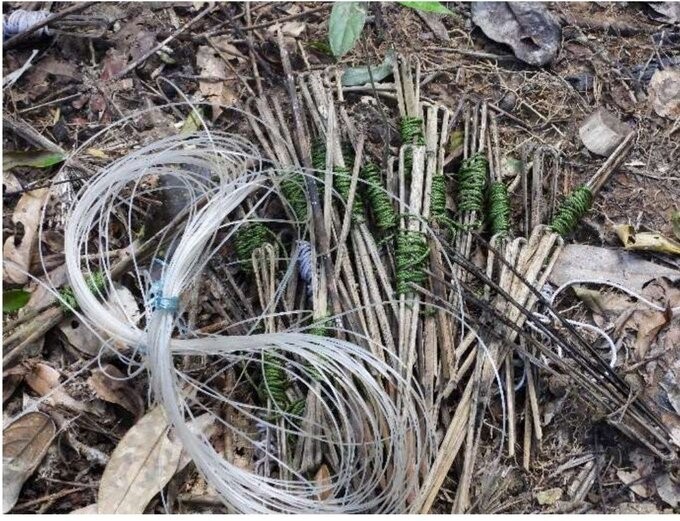 Forest protection force in Dong Xuan district patrolled to remove traps and illegal camps in the forest. Photo: Huy Tinh.