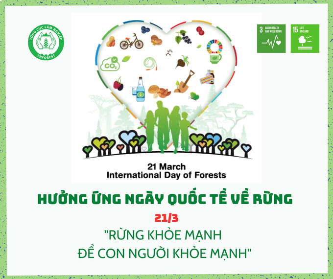 Ngày Quốc tế về Rừng 21/3 năm nay có chủ đề 'Rừng và Sức khỏe'.