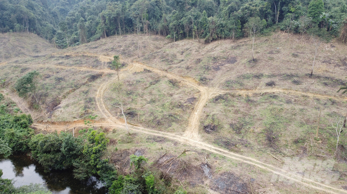 Theo ghi nhận, diện tích rừng đầu nguồn bị chặt phá nằm ngay cạnh khe suối và chỉ cách trạm BVR Cây Trồ (BQL rừng phòng hộ Hương Khê) và Đồn Biên phòng 571 (Bộ đội Biên phòng Hà Tĩnh) khoảng 2 km. 