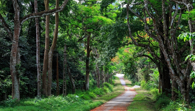 Vườn Quốc gia Cúc Phương, Ninh Bình được đánh giá là nơi có hệ sinh thái đa dạng tại Việt Nam. Ảnh: Tùng Đinh.