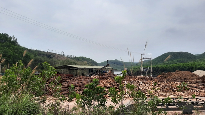 Các sản phẩm từ gỗ của tỉnh Quảng Ninh hiện chủ yếu vẫn là dăm và bán gỗ dăm. Ảnh: Viết Cường.