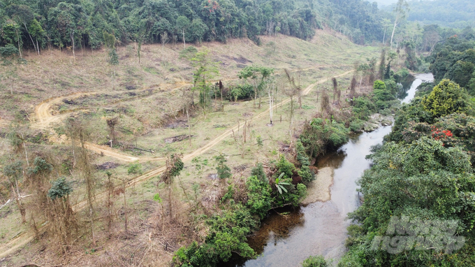 Diện tích rừng bị chặt phá tại khoảnh 5, tiểu khu 233, thuộc thôn Phú Lâm, xã Phú Gia, huyện Hương Khê, tỉnh Hà Tĩnh. Đây là diện tích rừng phòng hộ đầu nguồn do Ban quản lý rừng phòng hộ Hương Khê quản lý. 