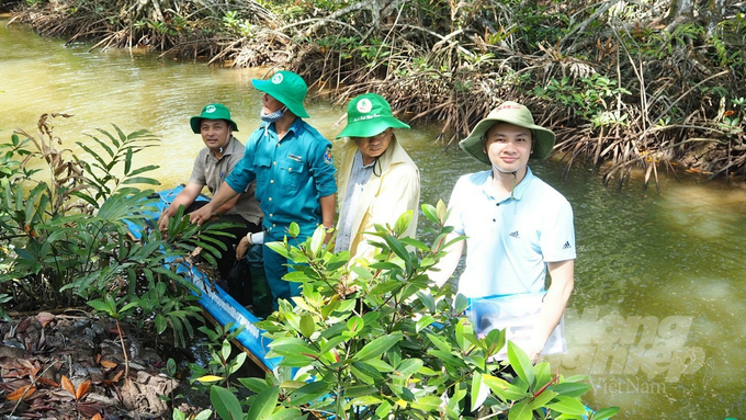 Local people can develop their economy through shrimp, crabs and fish under the canopy of mangroves. Photo: Trong Linh.