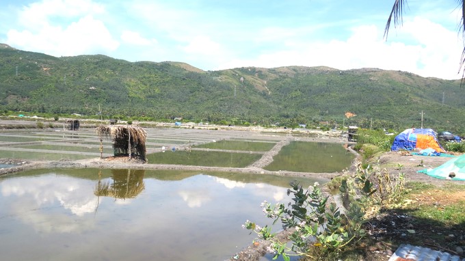 Due to prolonged rain, the Le Uyen salt production area was still filled with fresh water, even though the crop is coming. Photo: Manh Hoai Nam.