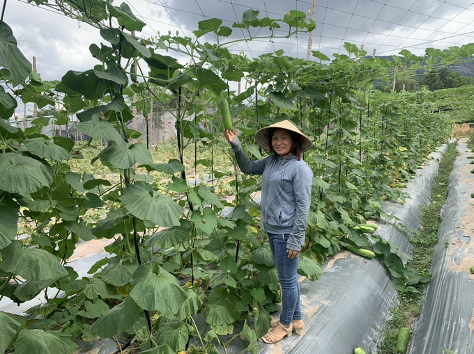 High costs and high product prices pose a considerable challenge to the development of organic farming. Photo: Hoang Trong.
