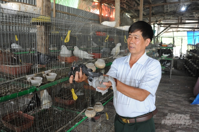 The purpose of the 4.0 application in animal husbandry is to help update accurate data and support better disease inspection, monitoring, prevention, zoning, and control. Photo: Le Hoang Vu.