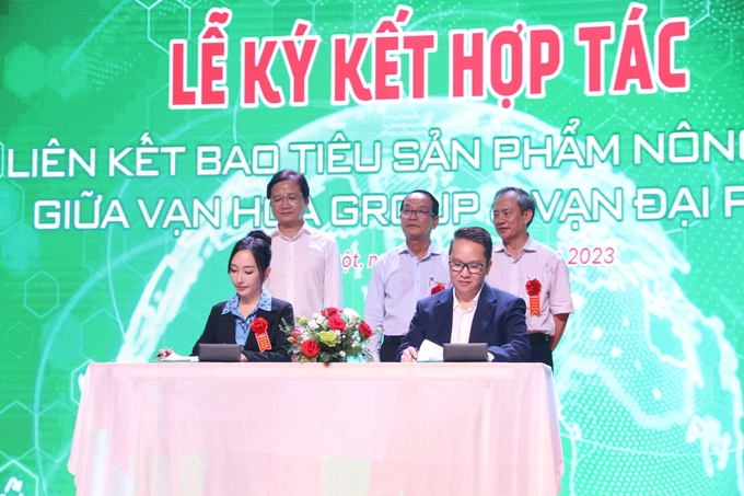 Van Hoa Holding Group and Van Dai Phat Vietnam Import Export Co., Ltd signed a cooperation agreement on consuming durian products. Photo: Quang Yen.