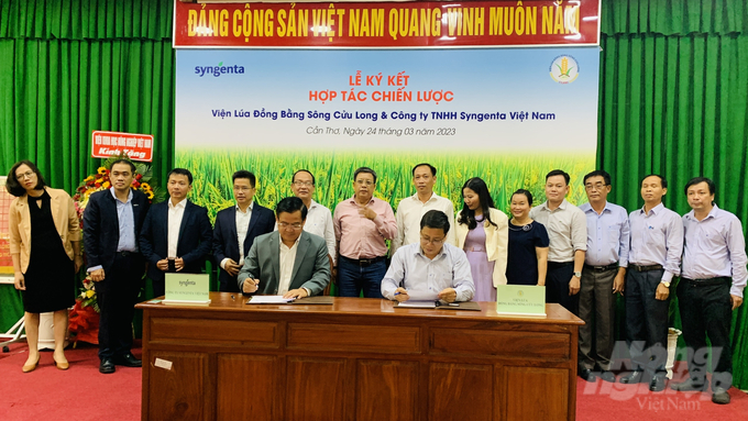 Lãnh đạo Công ty TNHH Syngenta Việt Nam và lãnh đạo Viện Lúa ĐBSCL ký kết hợp tác chiến lược. Ảnh: Hồ Thảo.