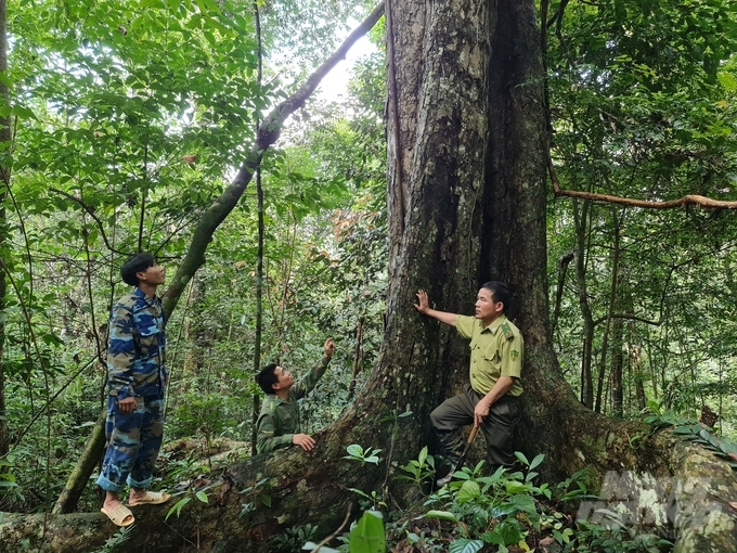 Những nhân viên tuần rừng được xem là cánh tay nối dài trong công tác giữ gìn, quản lý và bảo vệ rừng của lực lượng kiểm lâm ở Tuyên Quang. Ảnh: Đào Thanh.