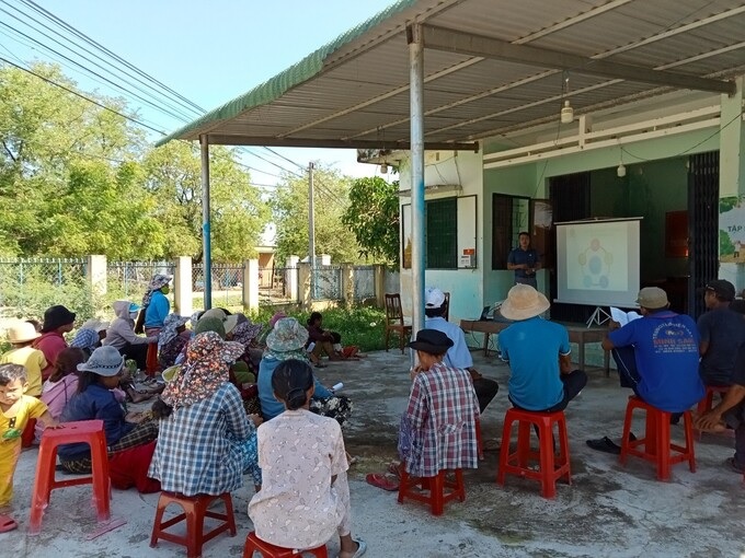 Dong Thuan Agricultural Service Cooperative trains farmers to cultivate cashew according to organic standards. Photo: Mai Phuong.