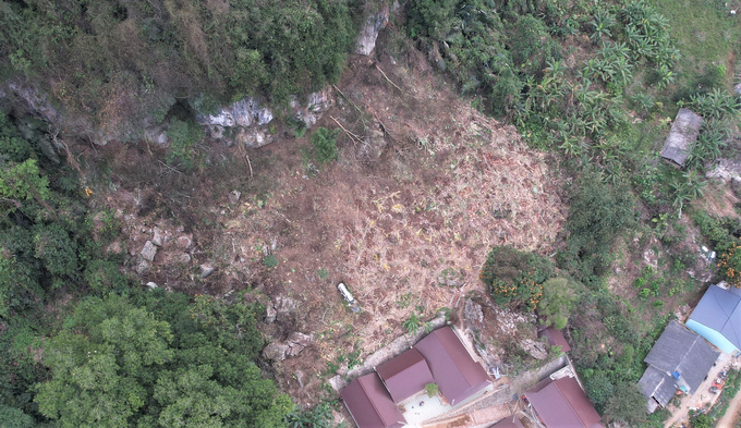 Hiện trường vụ phá rừng đặc dụng tại thôn Cốc Tộc, xã Nam Mẫu, huyện Ba Bể. Ảnh: Ngọc Tú. 