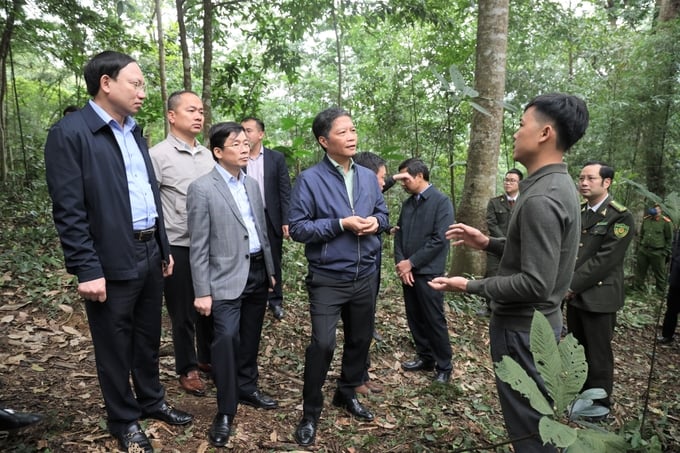 Đoàn công tác do Ủy viên Bộ Chính trị, Trưởng Ban Kinh tế Trung ương Trần Tuấn Anh dẫn đầu kiểm tra việc thực hiện Chỉ thị 13 của Ban Bí thư về công tác quản lý, bảo vệ và phát triển rừng tại tỉnh Quảng Ninh. Ảnh: Cường Vũ.