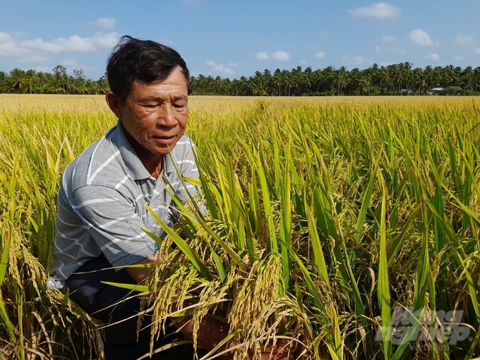  Trung tâm liên kết sản xuất vùng ĐBSCL thúc đẩy quá trình hiện đại hóa của vùng. Ảnh: Hồ Thảo.