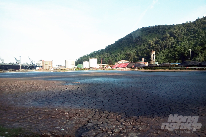 Thanh tra Sở TN&MT tỉnh Thừa Thiên - Huế phát hiện nhiều vi phạm trong lĩnh vực bảo vệ môi trường tại Cảng Chân Mây. Ảnh: CĐ.