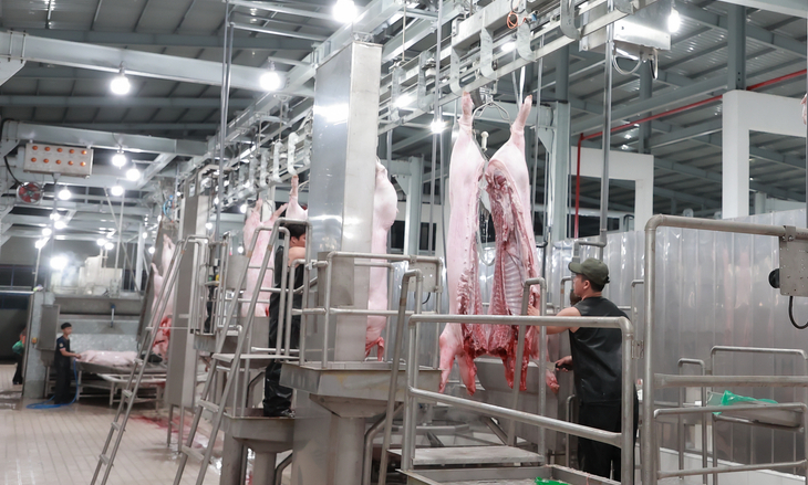 Nhà máy giết mổ gia súc và chế biến thực phẩm An Hạ (Củ Chi) dự kiến sẽ hoạt động vào ngày 1/4.