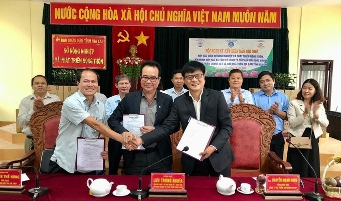 Representatives of Nafoods, the Gia Lai Department of Agriculture and Rural Development, and the Provincial Cooperative Alliance signed a memorandum of understanding on cooperation in the development of passion fruit and vegetables. Photo: Thu Hai.
