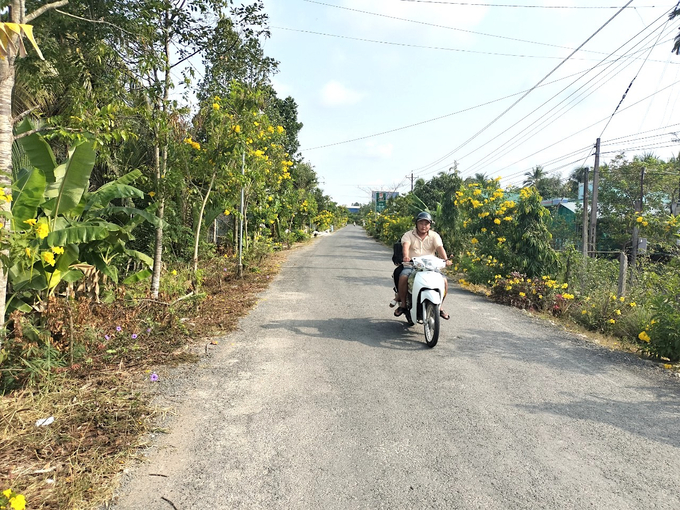Đường sá sạch đẹp tại xã nông thôn mới Tân Long Hội, huyện Mang Thít, tỉnh Vĩnh Long. Ảnh: Minh Đảm.