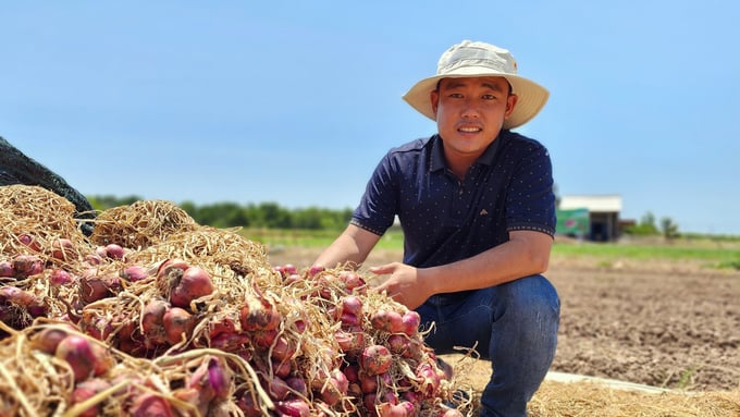Mr. Ong Hoang Tich from Vinh Hai commune, Vinh Chau town, Soc Trang province is developing an organic model of shallot production. Photo: Kim Anh.