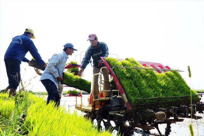 The agricultural sector sets a target of 2.9 to 3.0% growth in total agricultural value added for the second quarter of 2023. The total export turnover of agricultural, forestry and fishery products is expected to be nearly 14 billion USD. Photo: TL.