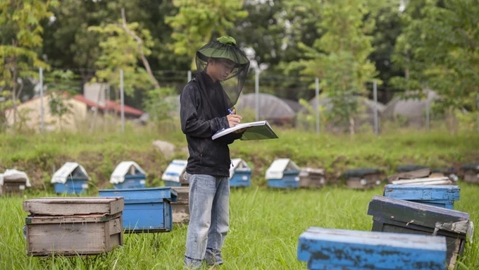 Sinh viên của Trung tâm Nghiên cứu ong và Nuôi ong nhiệt đới trực thuộc Khoa Nông học thường xuyên kiểm tra đàn ong hàng ngày. Ảnh: Mai Nguyên Anh/The World Bank.