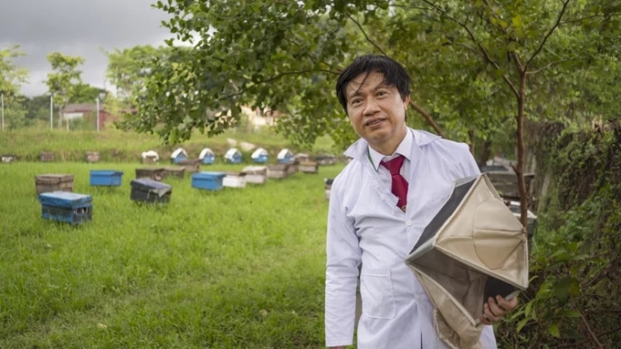 PGS. TS. Phạm Hồng Thái, Giám đốc Trung tâm Nghiên cứu ong và Nuôi ong nhiệt đới. Ảnh: Mai Nguyên Anh/The World Bank.