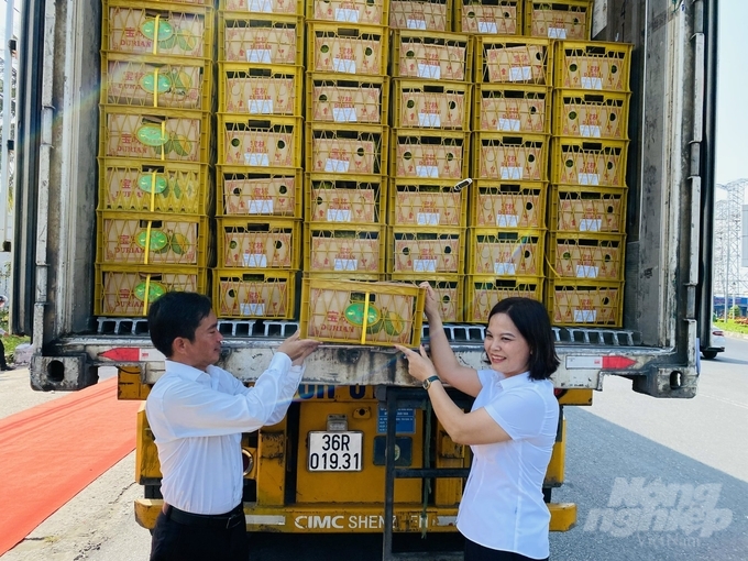 Mới đây lô sầu riêng của TP Cần Thơ được xuất khẩu chính ngạch sang thị trường Trung Quốc. Ảnh: Lê Hoàng Vũ.