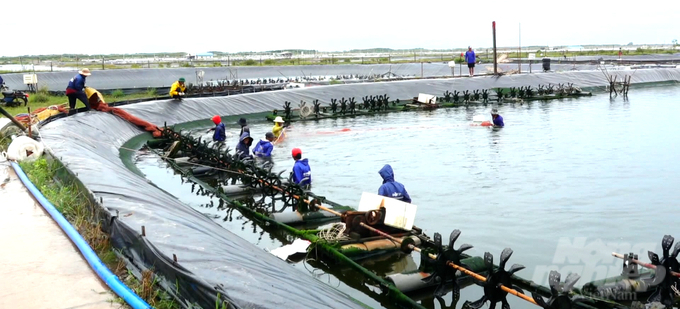 Hôi thảo bàn các giải pháp nâng tầm thương hiệu con tôm Việt, phát triển bền vững nghề cua Cà Mau và mô hình nuôi trồng thủy sản kết hợp du lịch của tỉnh Bà Rịa-Vũng Tàu. Ảnh: Minh Sáng.
