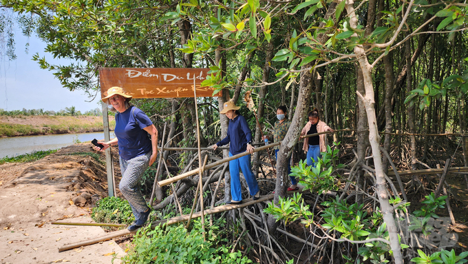 The eco-tourism site is formed by exploiting the value brought by the forest. Photo: Kim Anh.